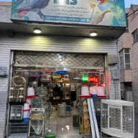 قفس عروس گیرینچیک ملزومات پرندگان