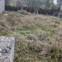 زمین ۱۹۰ متری مسکونی|فروش زمین و ملک کلنگی|تالش, طولارود|دیوار