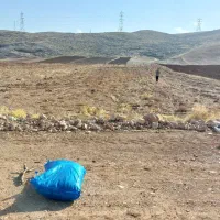 ۲۰ کیلو گندم کوهدشت بزری