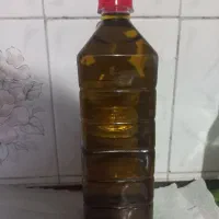 روغن زیتون اصل با تست رایگان