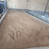 برنج عنبر بو درجه یک|خوردنی و آشامیدنی|اهواز, سپیدار|دیوار