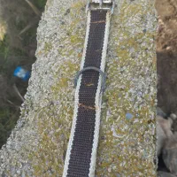 قلاده|لوازم جانبی حیوانات|آق قلا, |دیوار