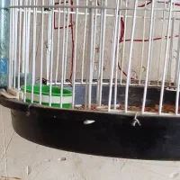 سهره خاکی