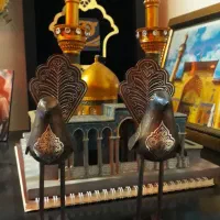 گنجشک نقره کوب علامت پا کوتاه وپا بلند پر نقره