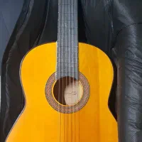 گیتار ب همراه کیف