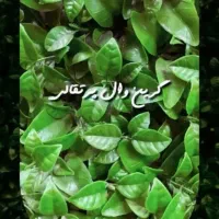 طراحی وساخت دکور