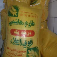 برنج هاشمی|عمدهفروشی|قم, دانش|دیوار