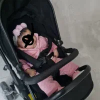 کالاسکه دلیجان در حد