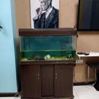 اکواریوم ماهیران