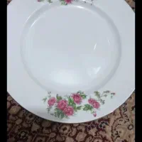 سرویس چینی زرین نو