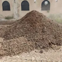 کود مرغی سالنی و قفسی|خدمات باغبانی و درختکاری|قم, دانشگاه قم|دیوار