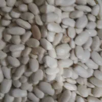 خرید و فروش انواع حبوبات|خوردنی و آشامیدنی|بابا حیدر, |دیوار