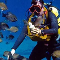 استخدام یک نفر پذیرشگر خانم