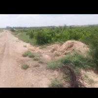 باغ ۱۰۰۰متری دولت آباد