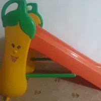 سر سره و الاغ
