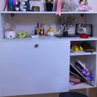 کتابخونه در دار سالم