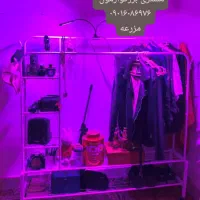 رگال باکس دار 88 و 68 و رگال ساده موجود|فروشگاه و مغازه|بندر امام خمینی, |دیوار