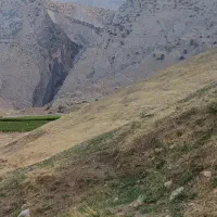 ۳هکتار زمین آبی