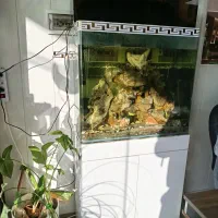 آکواریوم شرکتی همراه با میز