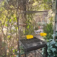 قفس و پایه|لوازم جانبی حیوانات|کرج, شهرک بنفشه|دیوار