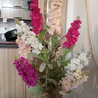 ۱۷ شاخه گل مصنوعی ویرا کیش