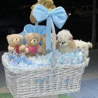 باکس نوزادی پسرانه کد ۱۲۶۵ گلاریس