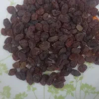 شیره ،سایه خشک و کشمش آفتابی درجه یک|خوردنی و آشامیدنی|ملایر, |دیوار