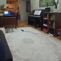 فرش ۶ متری مرینوس نو