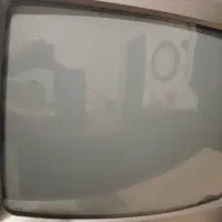 تلویزیون|تلویزیون و پروژکتور|رشت, حومه رشت|دیوار