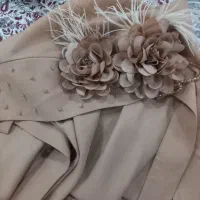 هدشال مجلسی