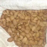توت خشک|خوردنی و آشامیدنی|قم, انسجام|دیوار