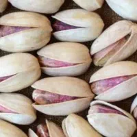 پسته تازه امسال