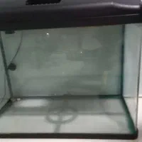 اکواریوم شرکتی