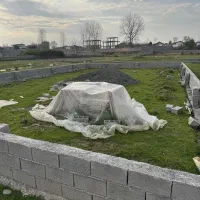 زمین چسبیده به بافت