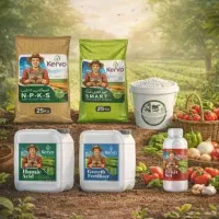 نمایندگی رسمی کودارگانیک سبو سیب به قیمت تولیدی