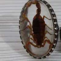 گردنبند با انگشتر|جواهرات|بم, |دیوار