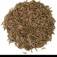 زیره سبز اعلا تناژ بالا خریداریم درگنبد و حمومه