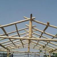 خدمات باغبانی محمد|خدمات باغبانی و درختکاری|کاشان, آیت الله سعیدی|دیوار