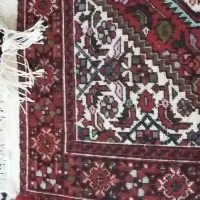 یک جفت فرش نو دستبافت بیجار|فرش|قم, بوستان علوی|دیوار