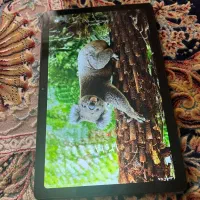 تب سامسونگ a7 64گیگ حافظه  رم ۳