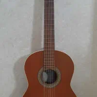 گیتار مدل P40