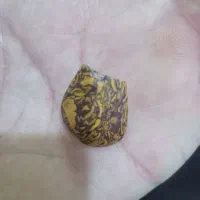 سنگ قدمتی جهت فروختن قیمت توافقی