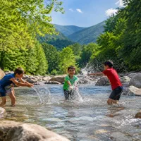 تور یک‌روزه آبشار جنگل ساحل