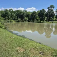 تور خانوادگی