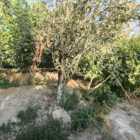 فروش و تهاتر زمین ۴۰۰ متر سند آماده|فروش زمین و ملک کلنگی|محمدشهر, محمدشهر|دیوار