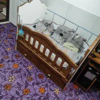 تخت بچه گانه|تخت و سرویس خواب|سیرجان, |دیوار