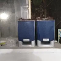 باند آیوا سالم