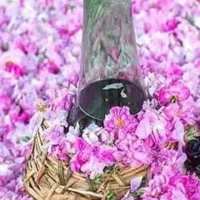 گلاب اعلا میمند
