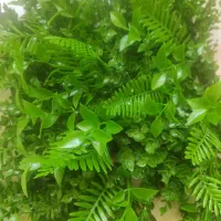 دیوارپوش گرین وال|گل مصنوعی|اهواز, زیتون کارمندی|دیوار