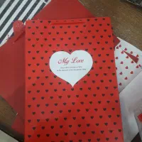 بگ  کیفی دسته دار